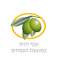 oliveboard